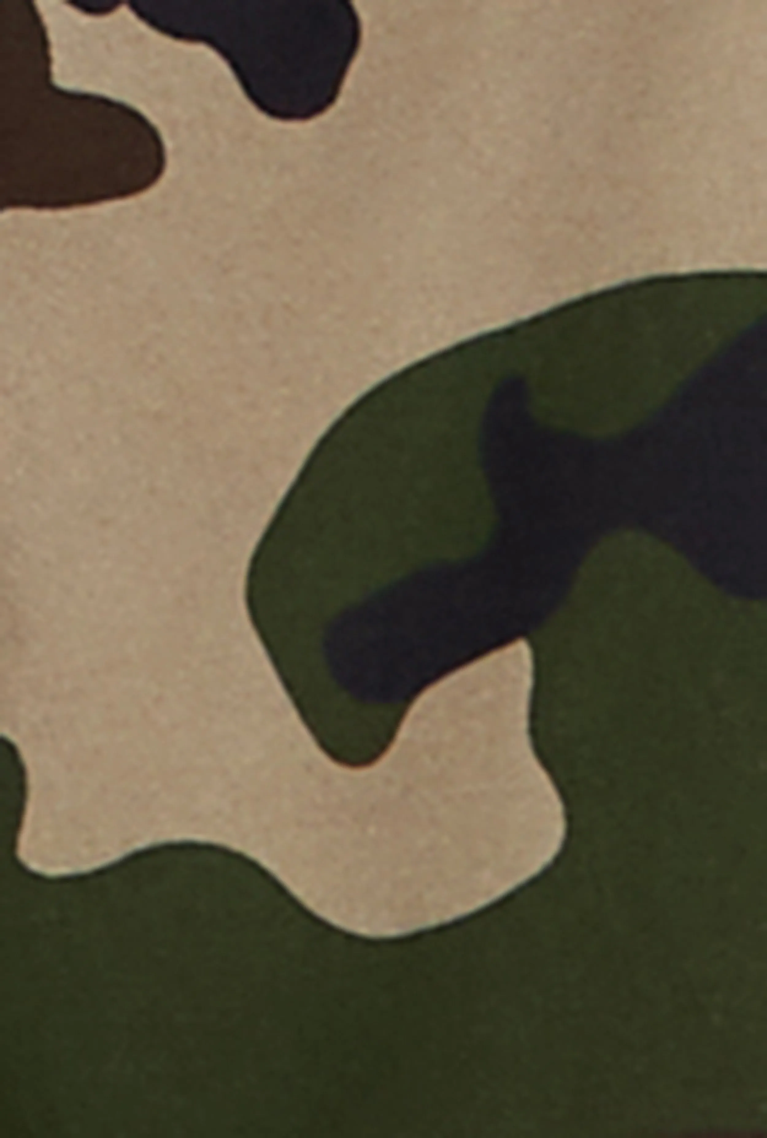 Plus Size Almost Famous Twill Camo Pants sold by Rainbow product image thumbnail 4