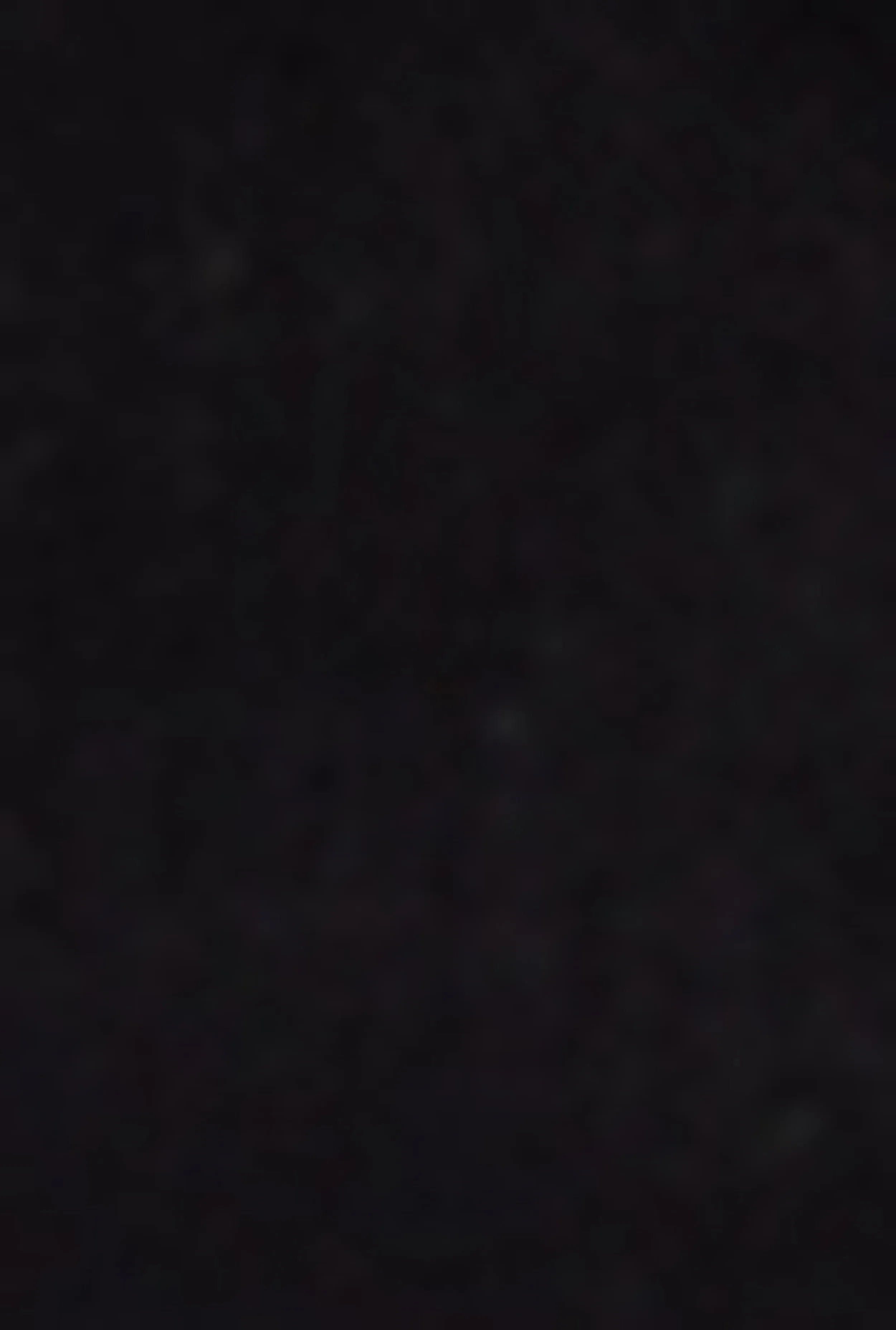 Plus Size Almost Famous Cargo Skater Jeans sold by Rainbow product image thumbnail 4