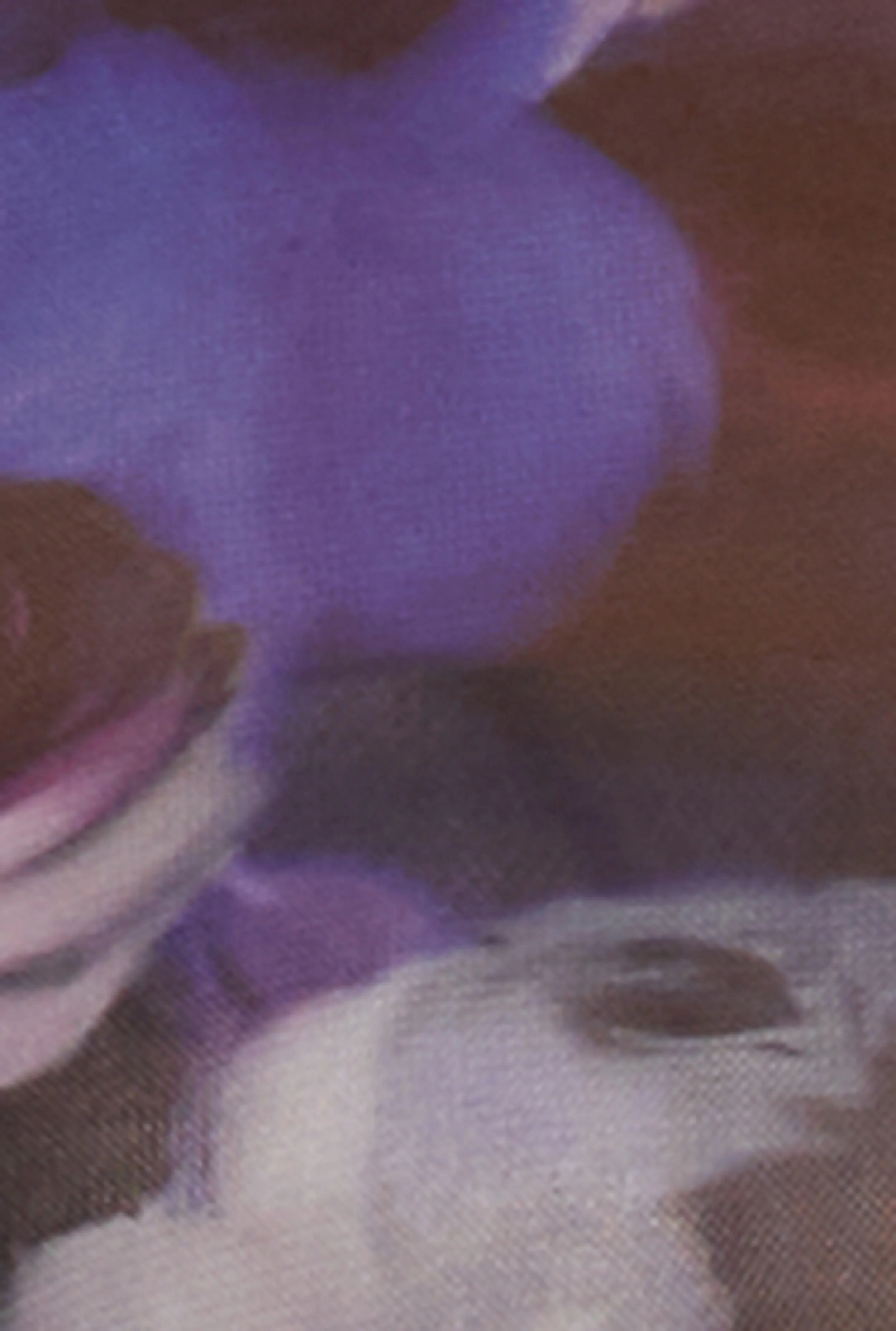 Floral Print Long Sleeve Mesh Top sold by Rainbow product image thumbnail 4