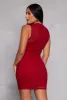Haute Monde Mesh Rushed Dress sold by Rainbow