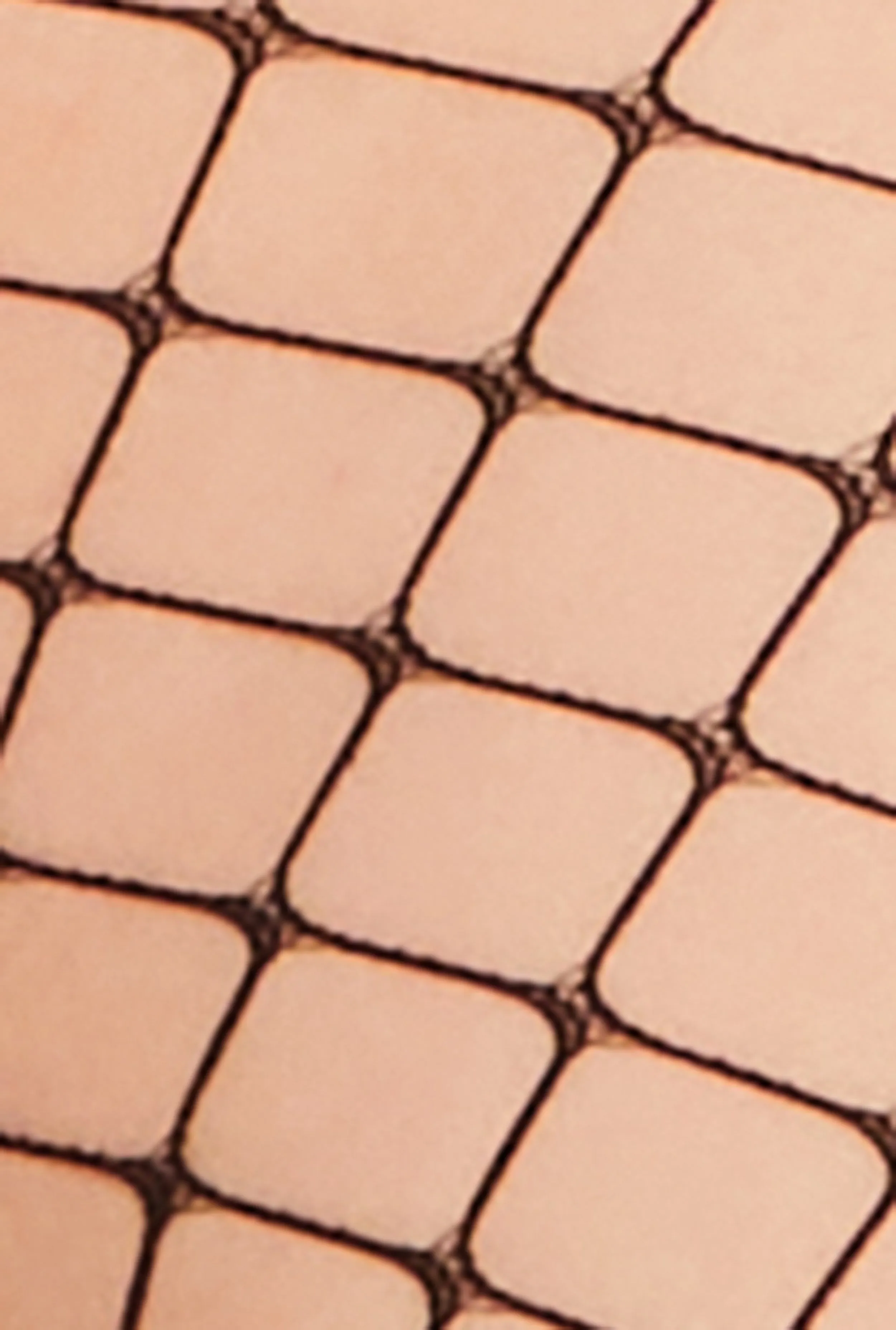 Plus Size Patterned Fishnet Tights sold by Rainbow product image thumbnail 3