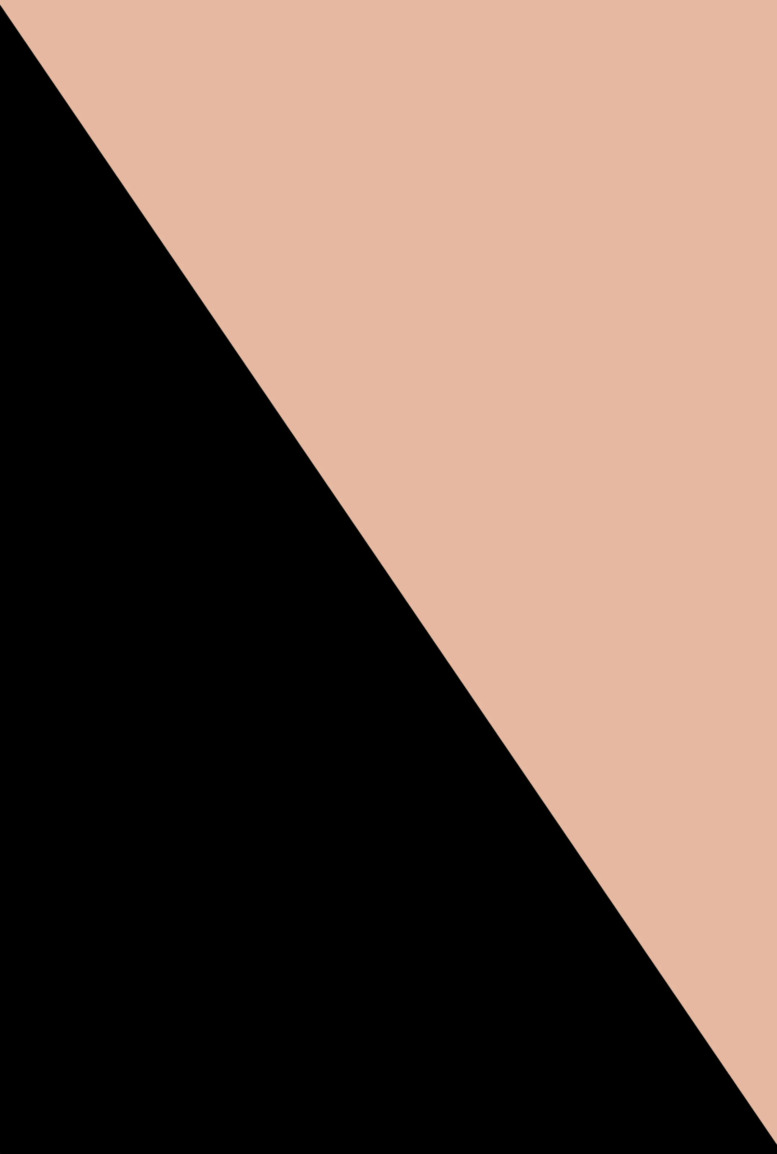 Basic Plunge Bras 2 Pack sold by Rainbow product image thumbnail 4