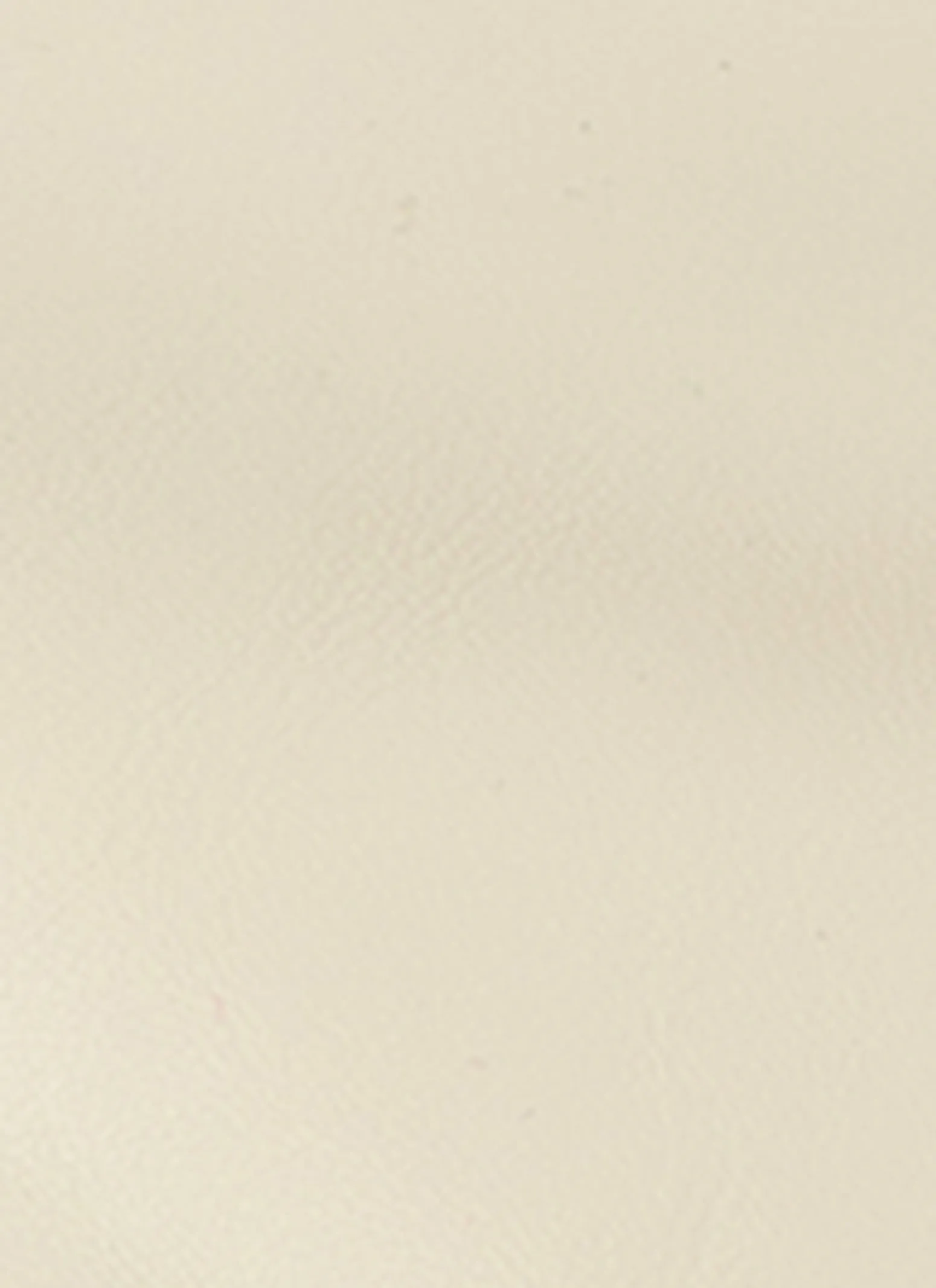 Lion Pendant Greek Key Chain Thong Sandals sold by Rainbow product image thumbnail 4