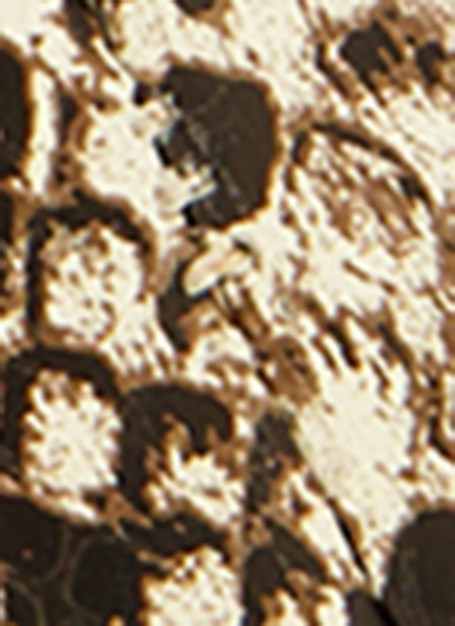 Buckle Detail Thong Slide Sandals sold by Rainbow product image thumbnail 4