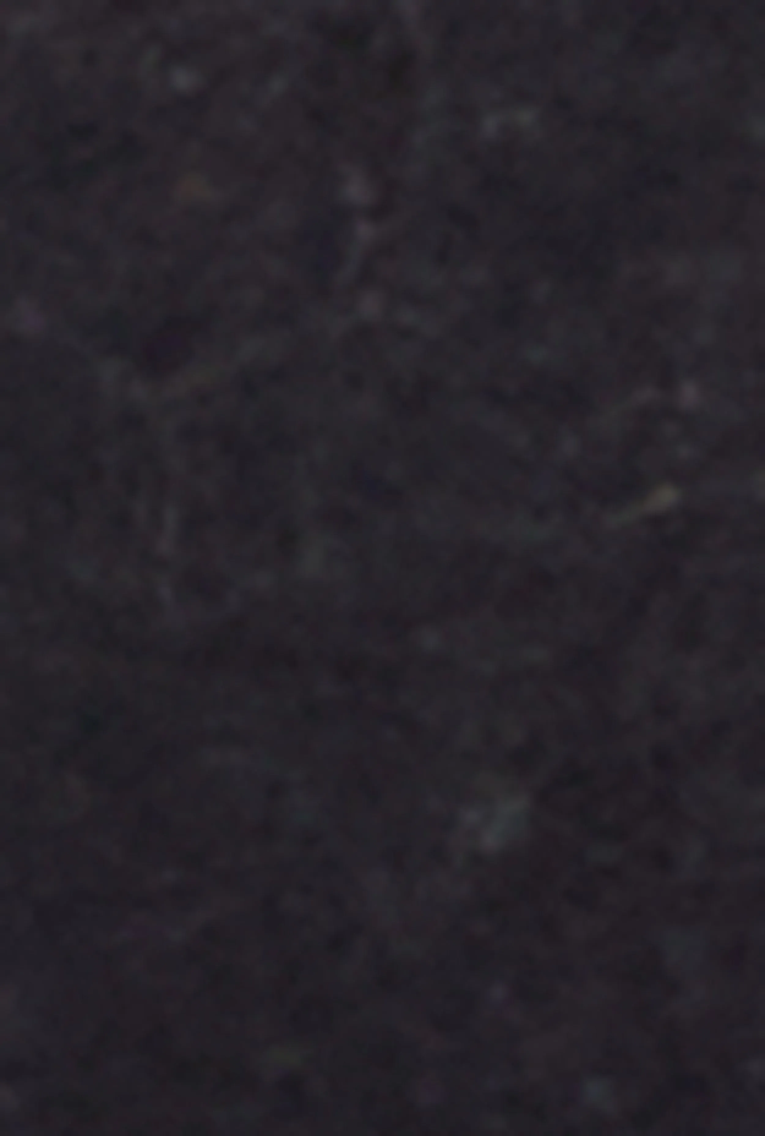 Plus Size California Acid Wash Graphic Tee sold by Rainbow product image thumbnail 4