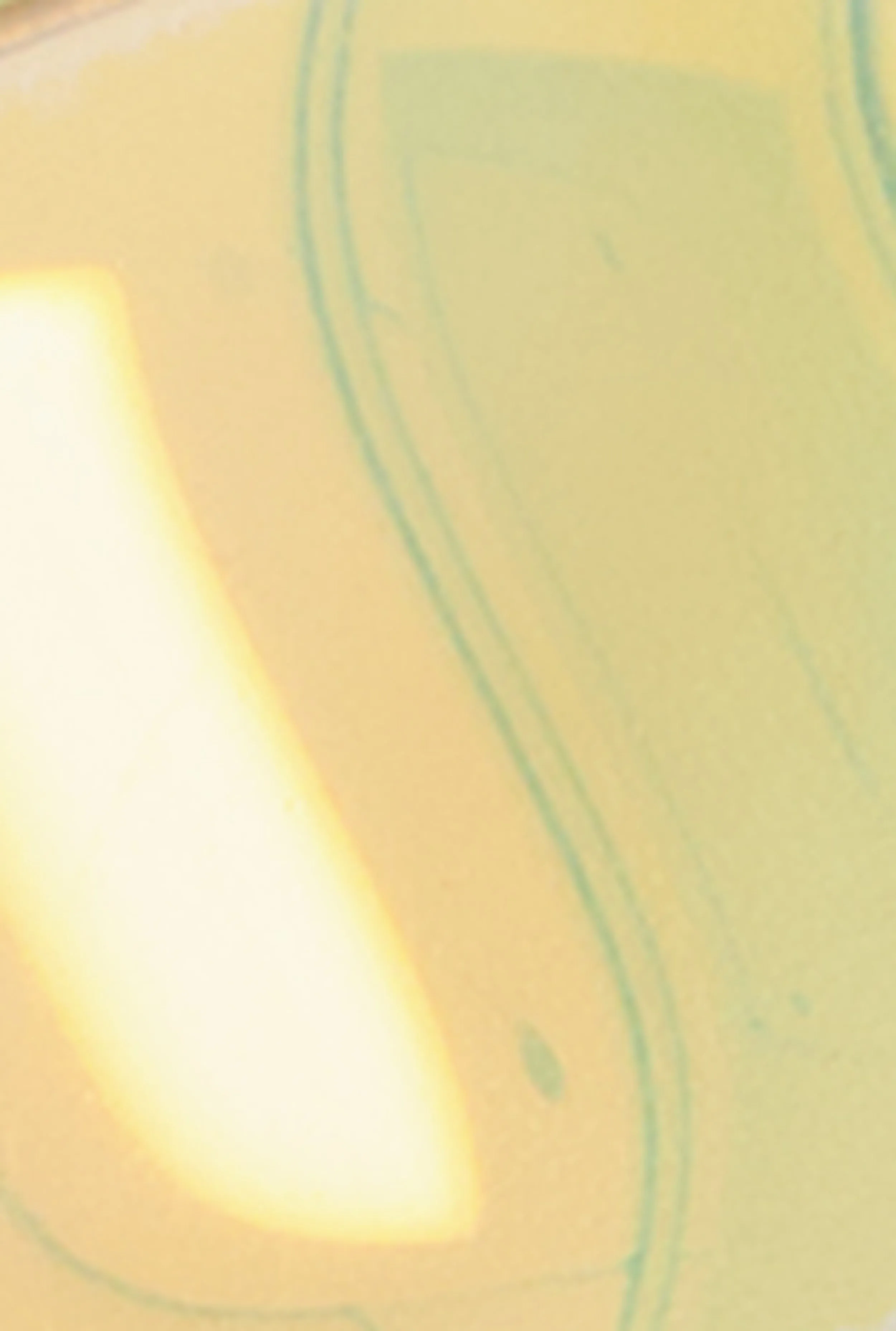 Double Band Slide Sandals sold by Rainbow product image thumbnail 4