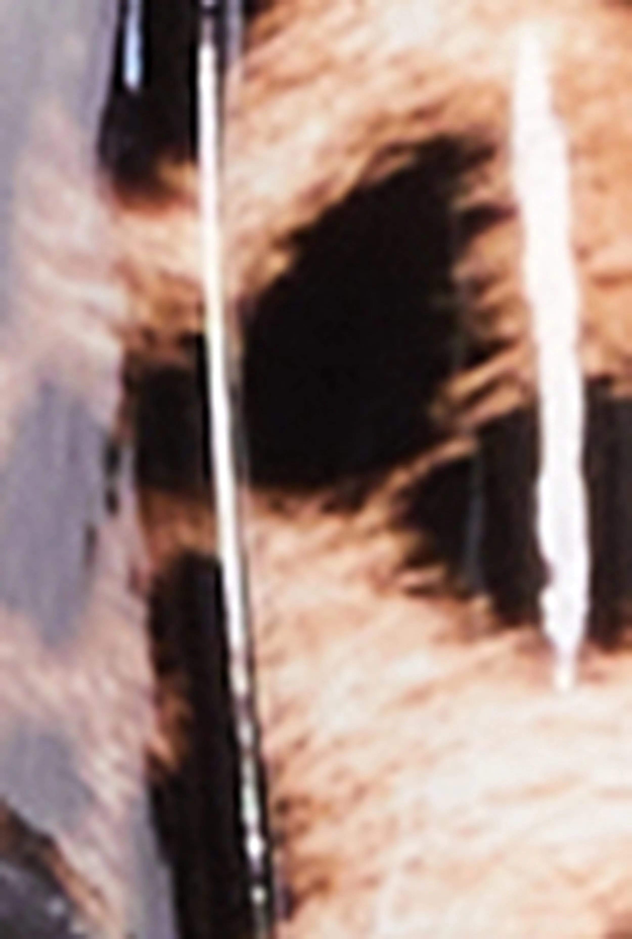 Mid Heel Thong Slide Sandals sold by Rainbow product image thumbnail 4