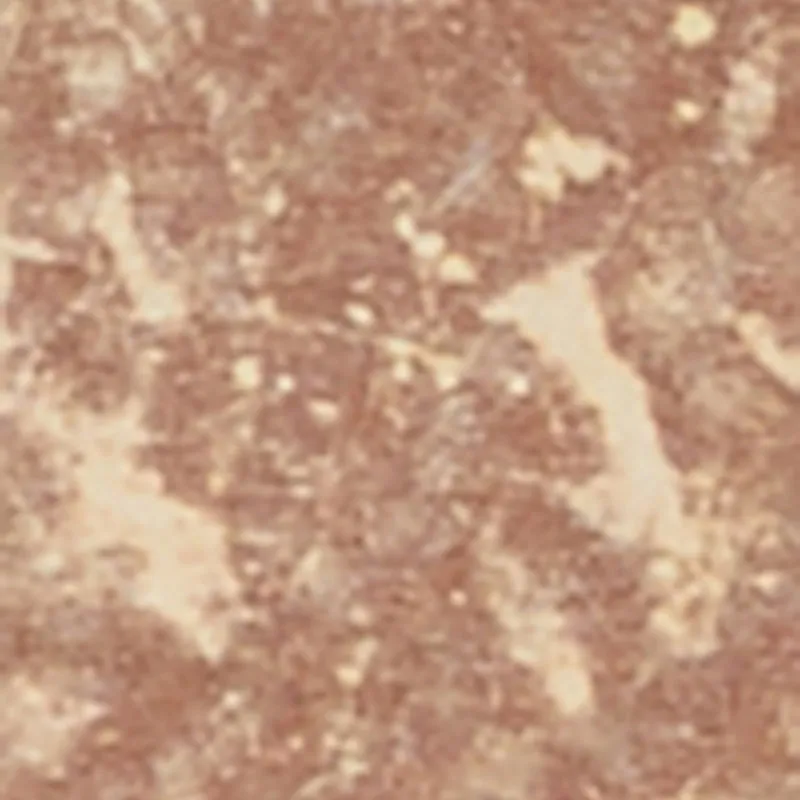 Acid Wash Cargo Pocket Mini Skirt sold by Rainbow product image thumbnail 4