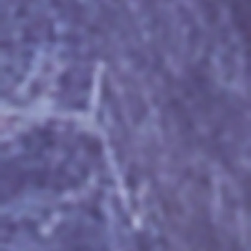 Rodeo Roundup Tie Back Top sold by Rainbow product image thumbnail 4