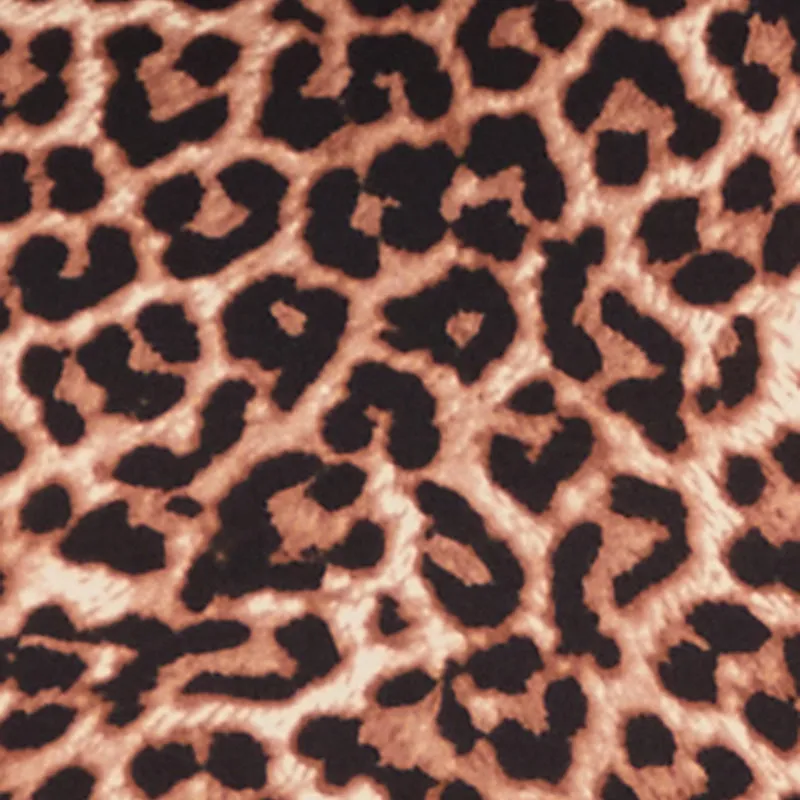 Plus Size Leopard Print Mock Neck Dress sold by Rainbow product image thumbnail 4