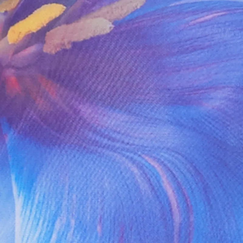 Plus Size Mesh Floral Print Midi Dress sold by Rainbow product image thumbnail 4