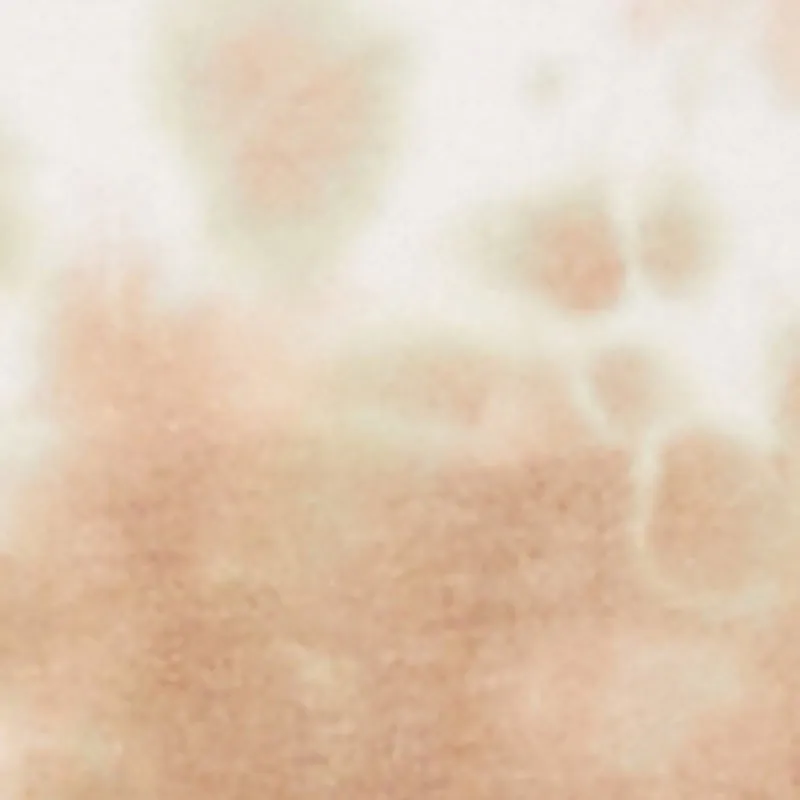 Plus Size She Is Velvet Burnout Graphic Sweatshirt sold by Rainbow product image thumbnail 4