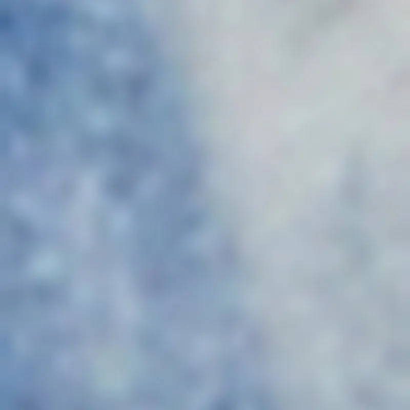 Plus Size LA Chenille Patch Camo Plaid Coat sold by Rainbow product image thumbnail 4