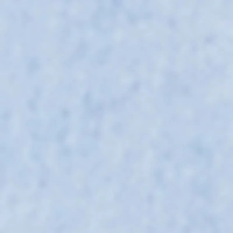 Plus Size Daisy Rhinestone Trim Fringe Denim Shorts sold by Rainbow product image thumbnail 4