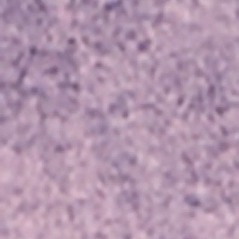 Daisy Mineral Wash Cargo Denim Skirt sold by Rainbow product image thumbnail 4