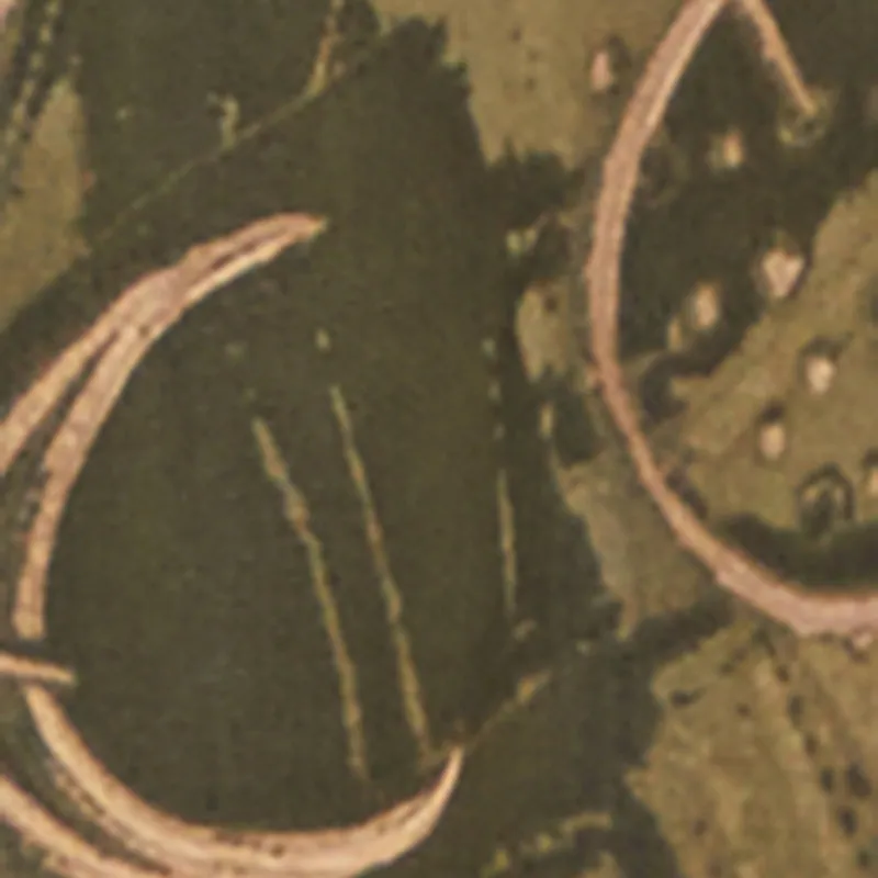 Plus Size Buckle Belt Print Mesh Duster sold by Rainbow product image thumbnail 4