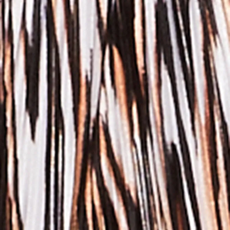 Plisse Printed Pattern Shorts sold by Rainbow product image thumbnail 4