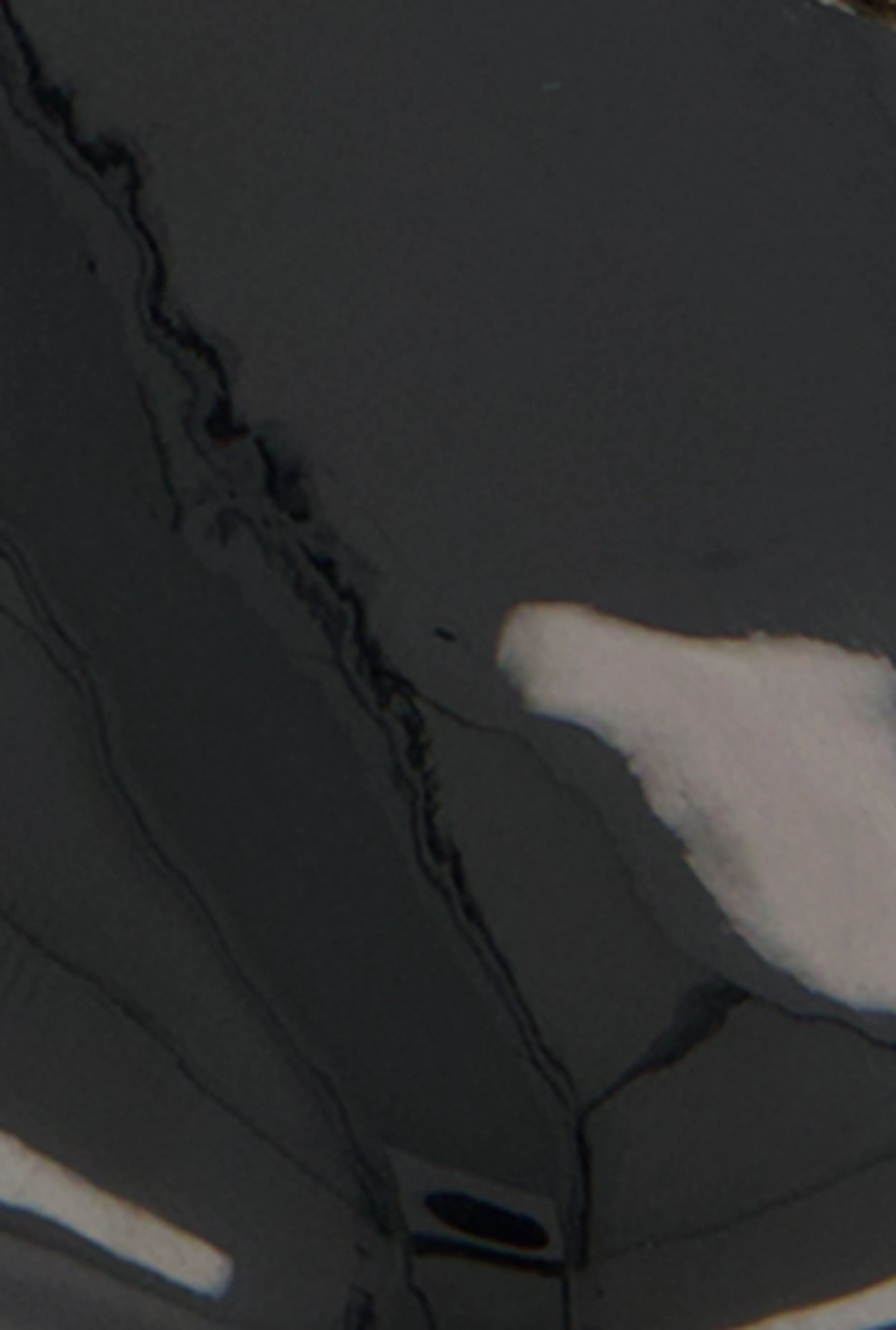 Horsebit Buckle Ballet Flats sold by Rainbow product image thumbnail 4