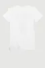 Boys Fresh Bear Chenille Graphic Tee sold by Rainbow