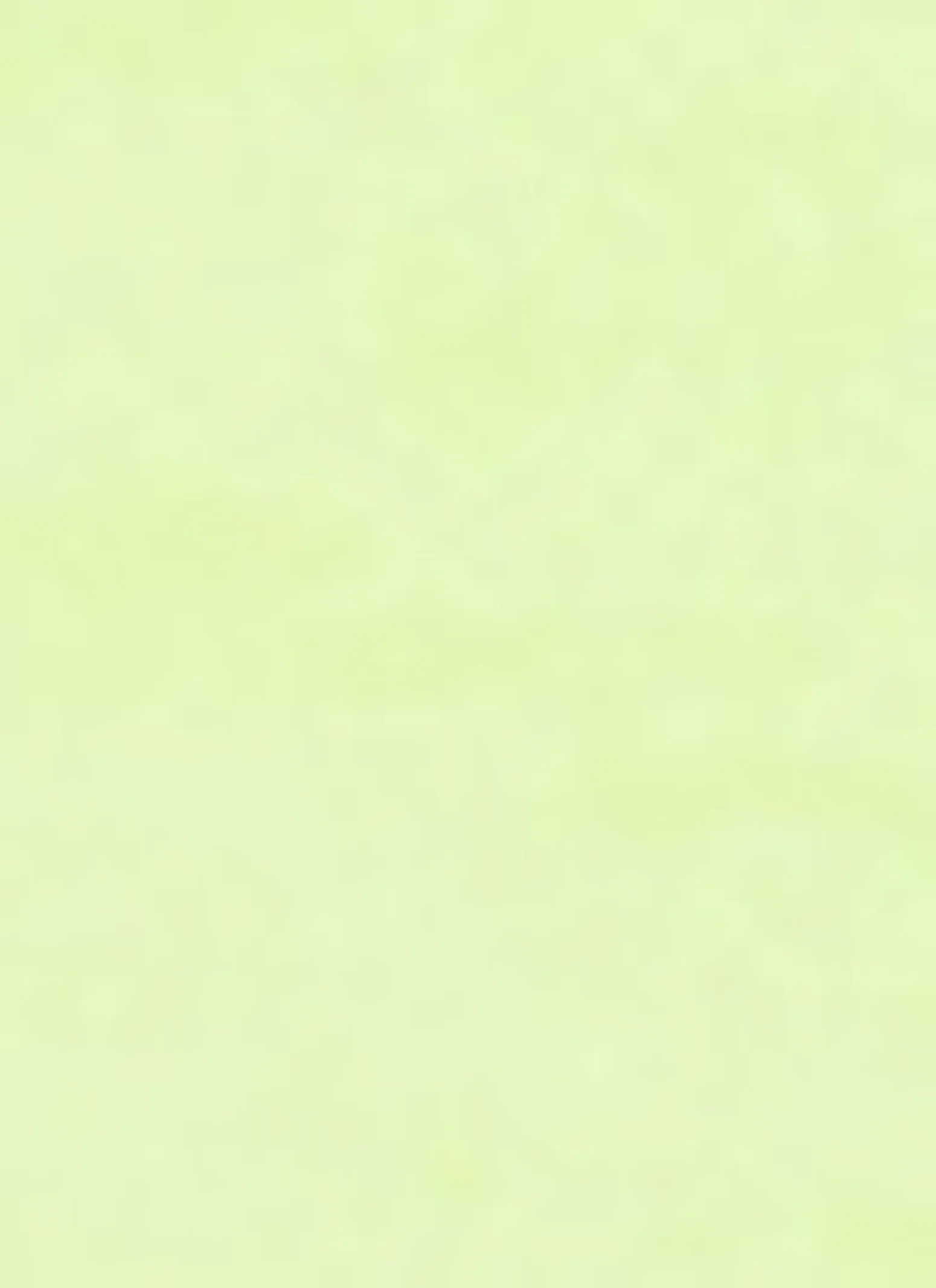 Basic Scoop Neck Tee sold by Rainbow product image thumbnail 3