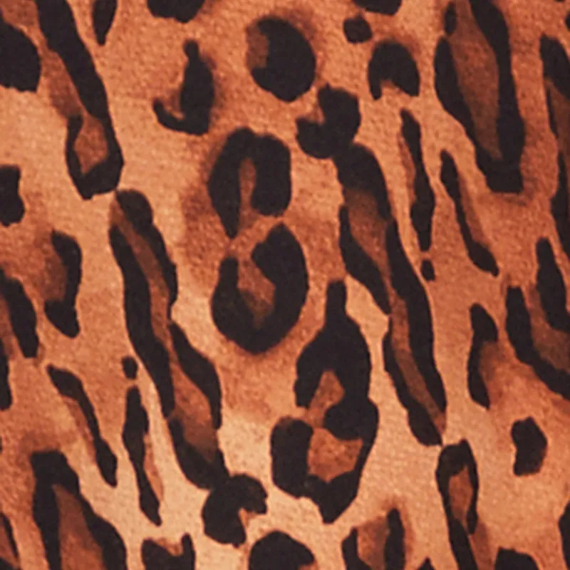 Plus Size Leopard Print Mini Dress sold by Rainbow product image thumbnail 4