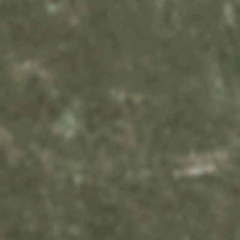 Daisy Mineral Wash Cargo Bermuda Shorts sold by Rainbow product image thumbnail 4