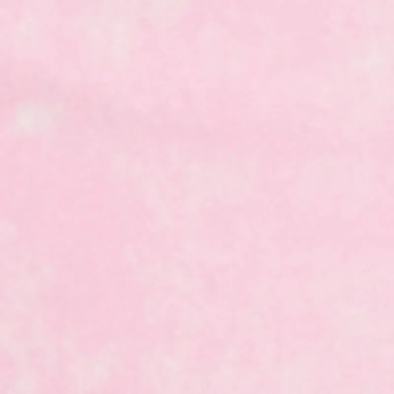 Daisy Mineral Wash Cargo Bermuda Shorts sold by Rainbow product image thumbnail 4