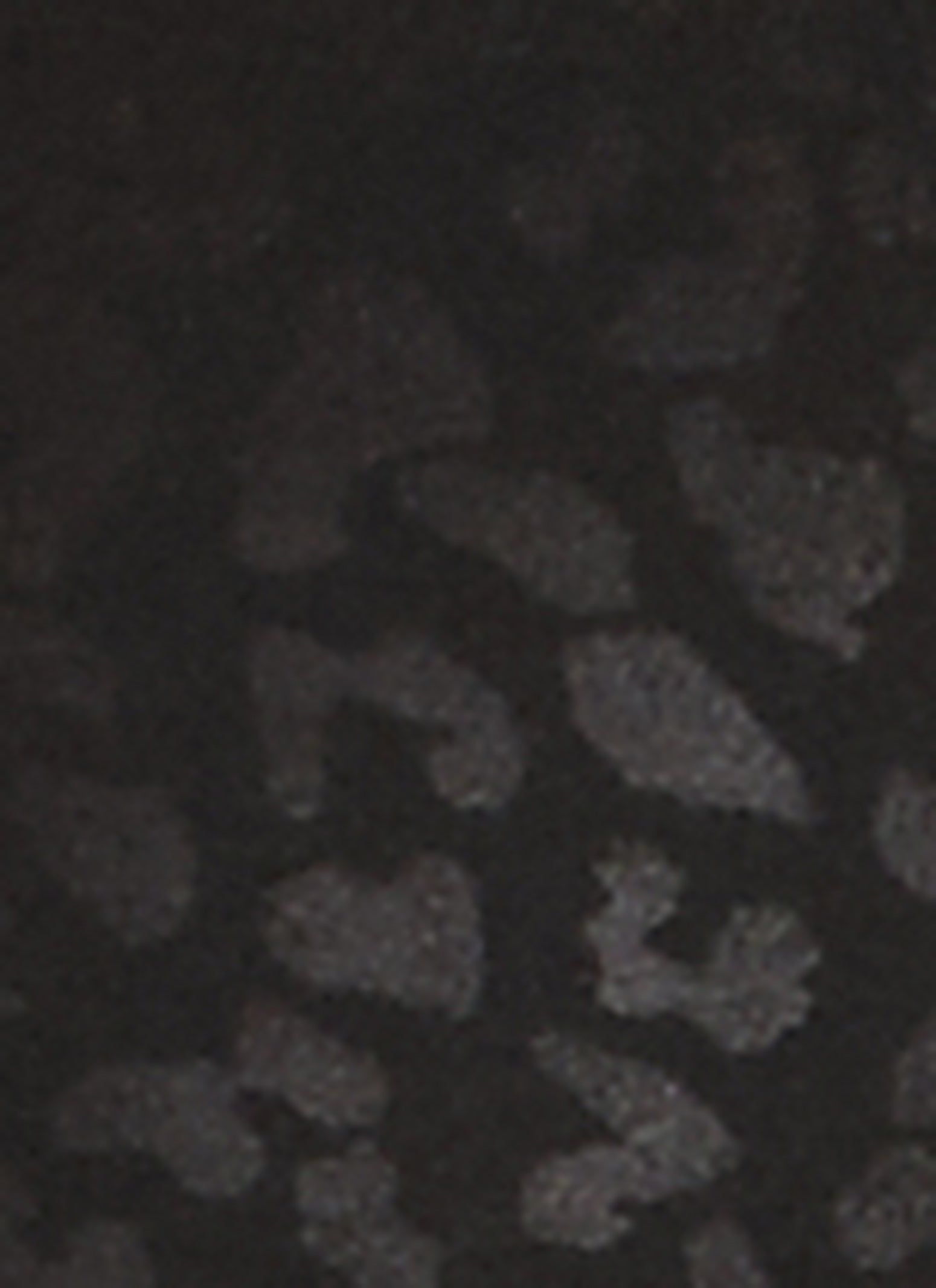 Plus Size Shadow Leopard Print Biker Shorts sold by Rainbow product image thumbnail 3