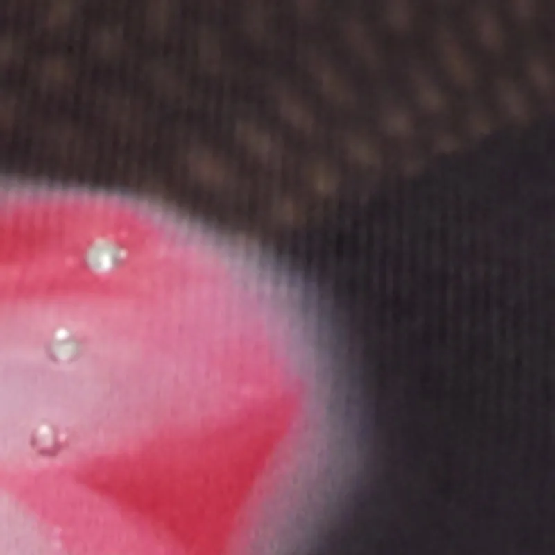 Plus Size Rhinestone Floral Print Mesh Top sold by Rainbow product image thumbnail 4