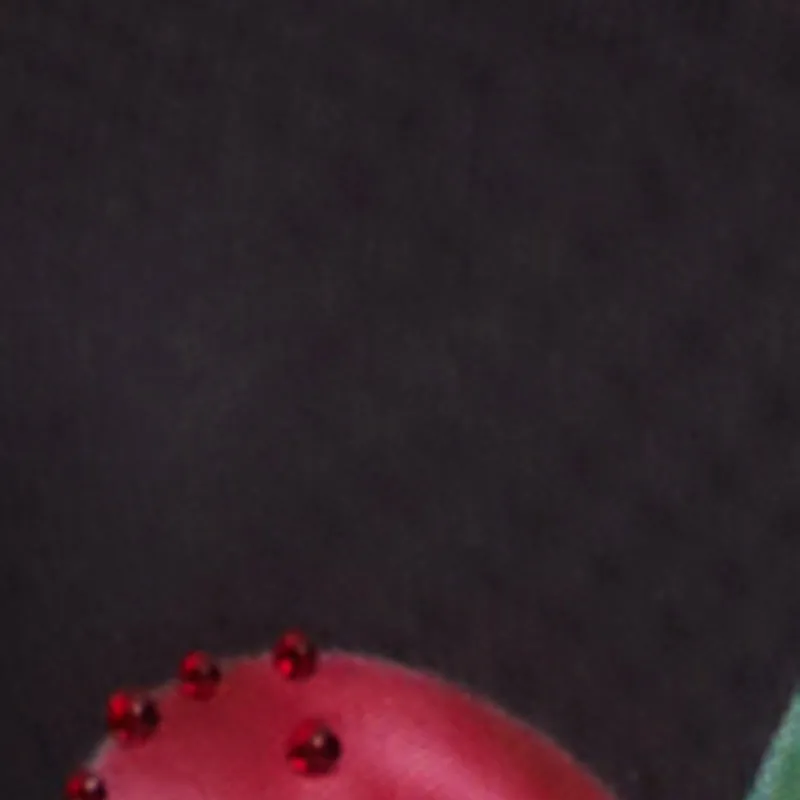 Plus Size Rhinestone Cherry Print Mesh Top sold by Rainbow product image thumbnail 4