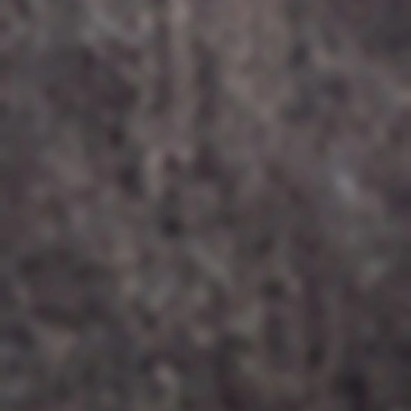 Daisy Mineral Wash High Waisted Mini Denim Skirt with Cargo Pockets sold by Rainbow product image thumbnail 4