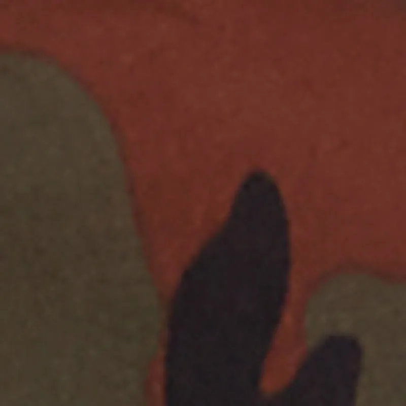 Stylish Camo Cargo Shorts with Stretch for Comfortable Fit sold by Rainbow product image thumbnail 4