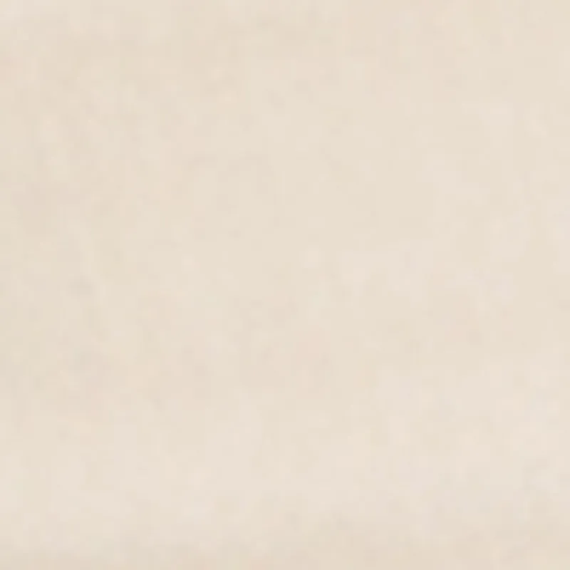 Plus Size Daisy High Waisted Acid Wash Cargo Denim Shorts sold by Rainbow product image thumbnail 4