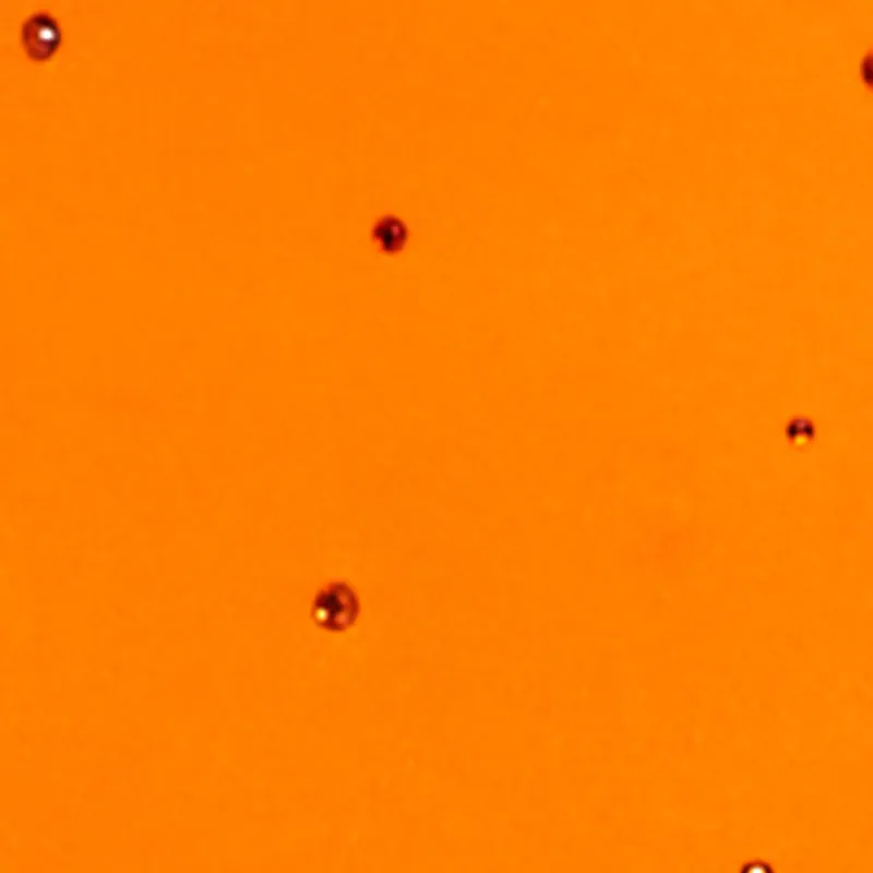 Plus Size Seamless Rhinestone Detail Cami sold by Rainbow product image thumbnail 4