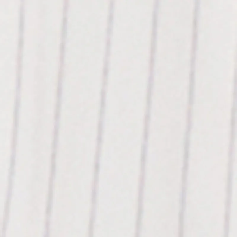 Iris Buckle Detail Pinstripe Pleated Skirt sold by Rainbow product image thumbnail 4