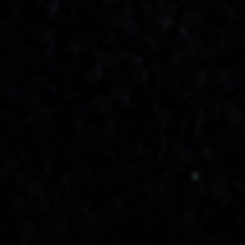 Embroidered Graphic Platform Clogs sold by Rainbow product image thumbnail 4