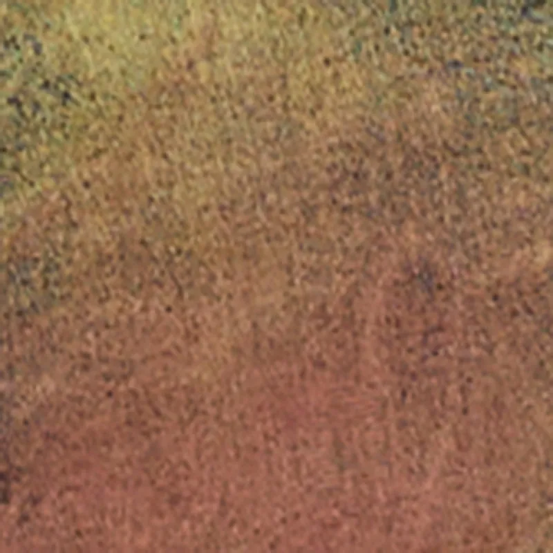 Stylish Daisy Ombre Detail Wide Leg Jeans sold by Rainbow product image thumbnail 4