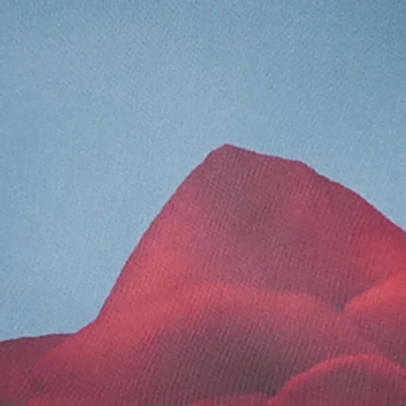 Plus Size Almost Famous Mesh Rose Print Maxi Dress sold by Rainbow product image thumbnail 4