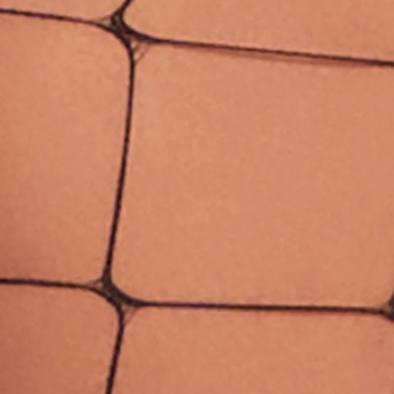 Fishnet Tights sold by Rainbow product image thumbnail 3