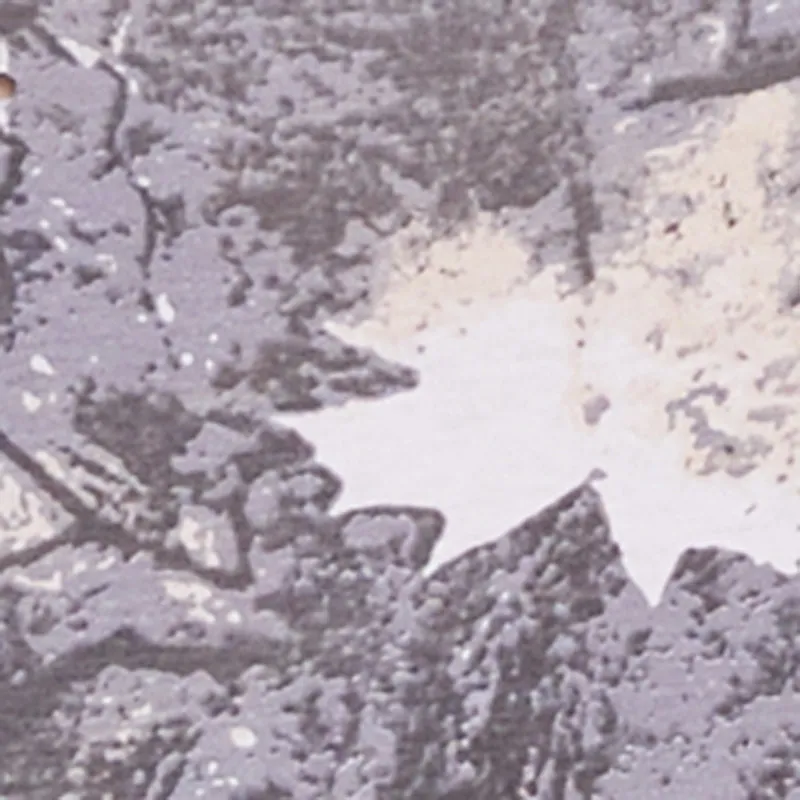 Plus Size Hunter Camo Short Sleeve Crew Neck Tee sold by Rainbow product image thumbnail 4