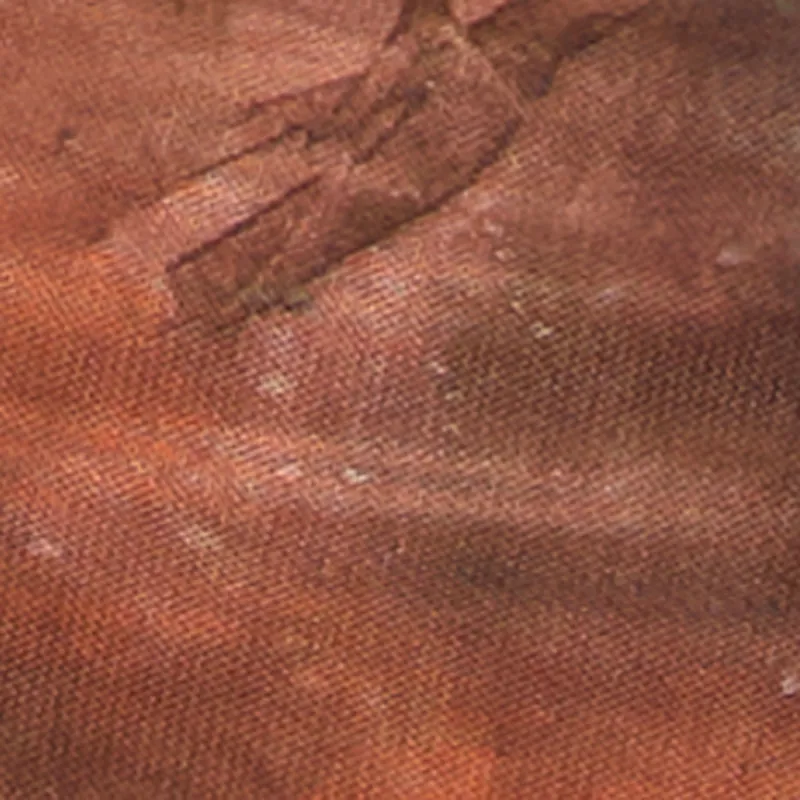 One Shoulder Side Ruched Mesh Crop Top sold by Rainbow product image thumbnail 4