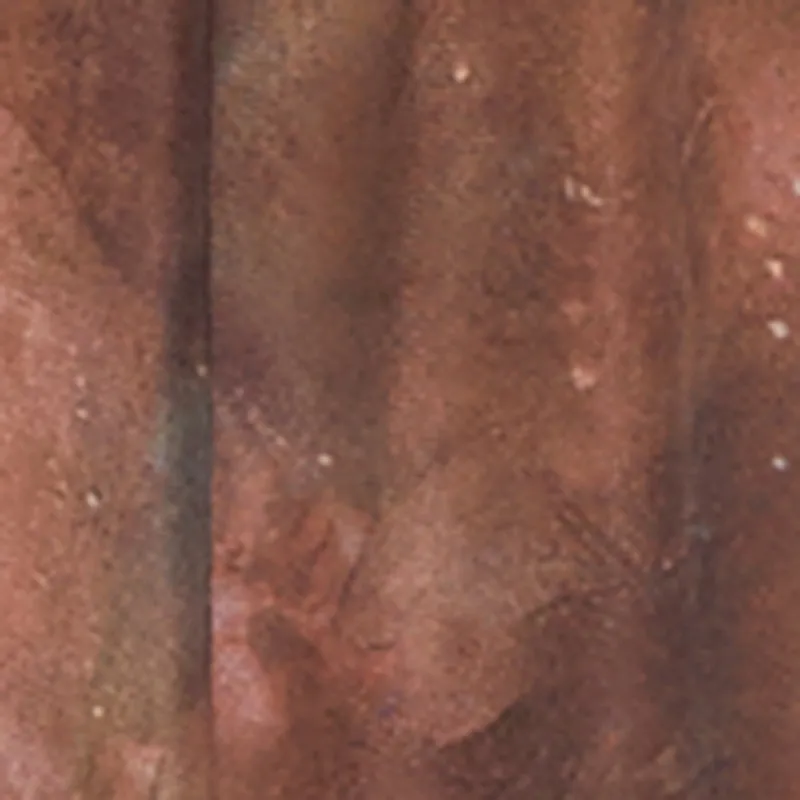 Printed Pattern Lace Up Ruffle Detail Mesh Dress sold by Rainbow product image thumbnail 4