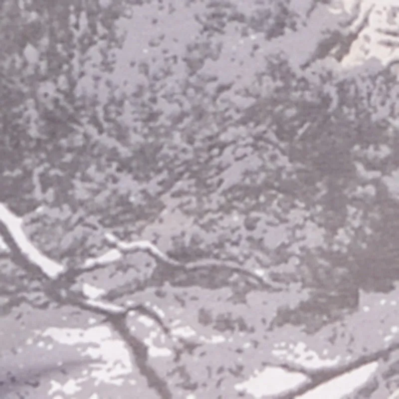 Plus Size Hunter Camo High Waisted Leggings sold by Rainbow product image thumbnail 4