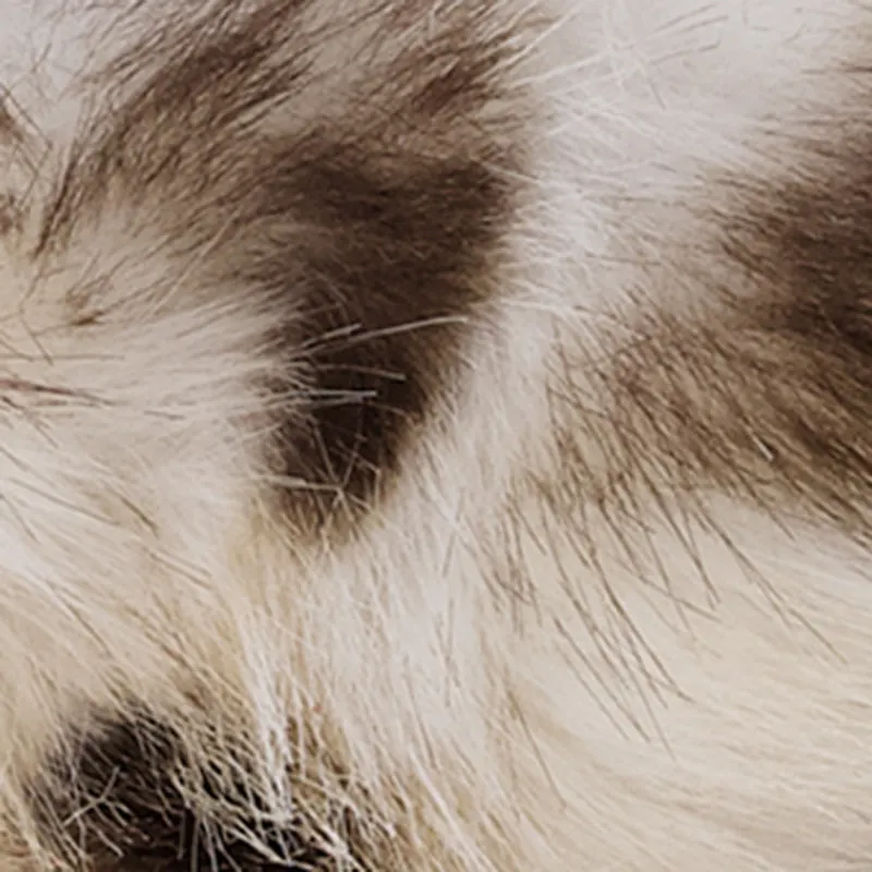 Faux Fur Head Wrap sold by Rainbow product image thumbnail 4