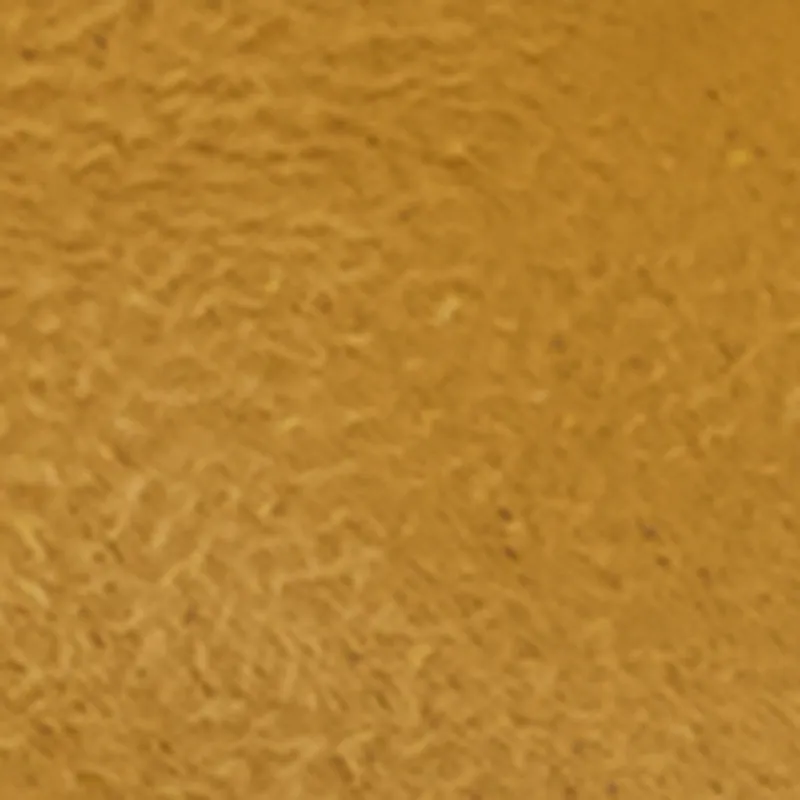 Jelly Double Buckle Band Footbed Sandals sold by Rainbow product image thumbnail 4