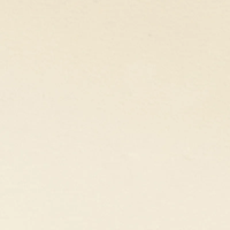 Metallic Detail Ankle Strap Thong Sandals sold by Rainbow product image thumbnail 4