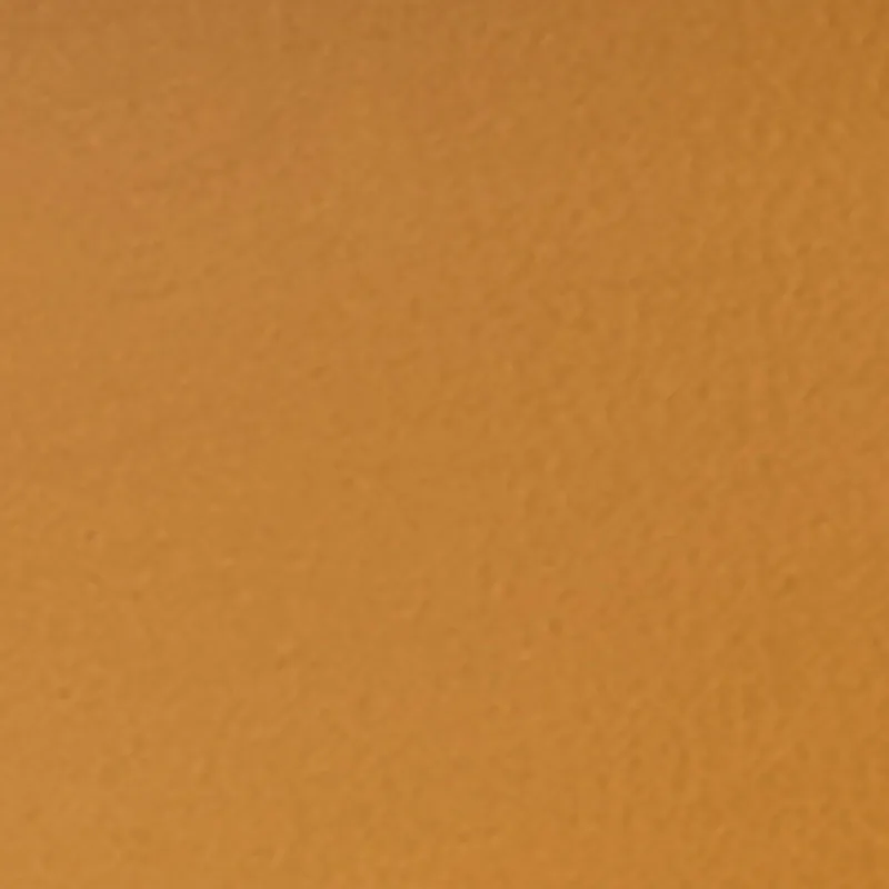 Metallic Detail Ankle Strap Thong Sandals sold by Rainbow product image thumbnail 4