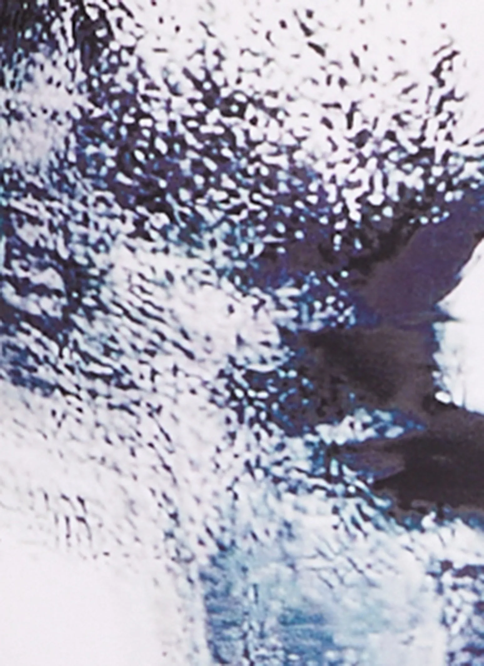 Plus Size Body Heat Print Cami Maxi Dress sold by Rainbow product image thumbnail 4