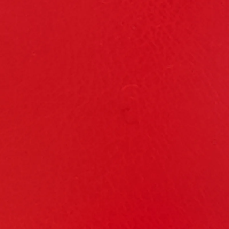 Metallic Pendant Faux Leather Thong Sandals sold by Rainbow product image thumbnail 4