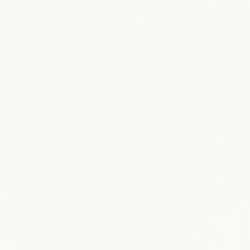 Metallic Toe Loop Ankle Strap Sandals sold by Rainbow product image thumbnail 4